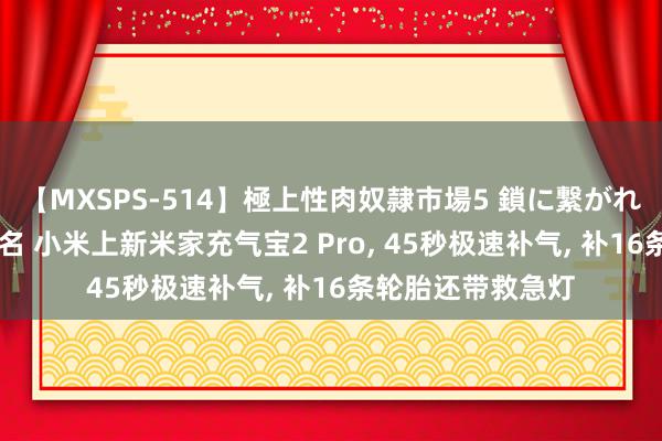 【MXSPS-514】極上性肉奴隷市場5 鎖に繋がれた囚われの女18名 小米上新米家充气宝2 Pro, 45秒极速补气, 补16条轮胎还带救急灯