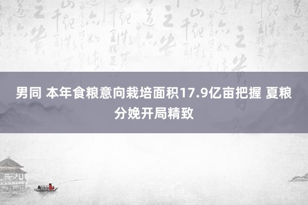 男同 本年食粮意向栽培面积17.9亿亩把握 夏粮分娩开局精致