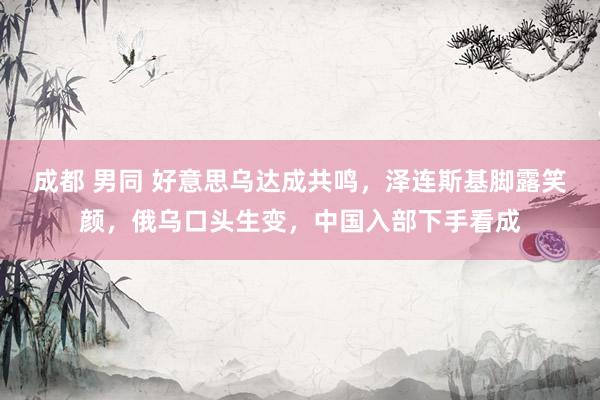 成都 男同 好意思乌达成共鸣，泽连斯基脚露笑颜，俄乌口头生变，中国入部下手看成