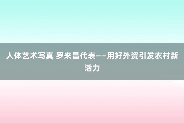 人体艺术写真 罗来昌代表——用好外资引发农村新活力